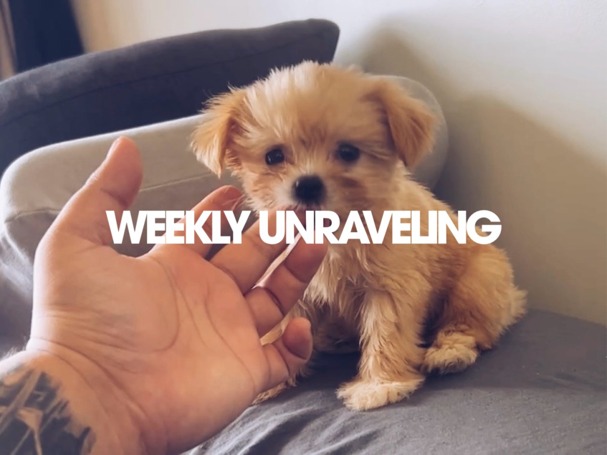 Weekly Unraveling #1